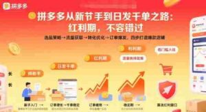 拼多多从新手到日发千单之路，拼多多红利期，不容错过【音频】-中创网_分享创业项目_互联网资源