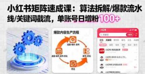 （16231期）小红书矩阵起号速成课：算法拆解/爆款流水线/关键词截流 单账号日增粉100+-中创网_分享创业项目_互联网资源