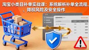 （16239期）淘宝小类目补单实战课：系统解析补单全流程、降权风险及安全操作-中创网_分享创业项目_互联网资源