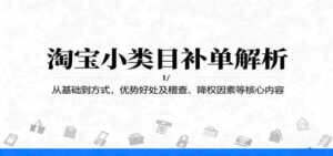 淘宝小类目补单解析：从基础到方式，优势好处及稽查、降权因素等核心内容-中创网_分享创业项目_互联网资源