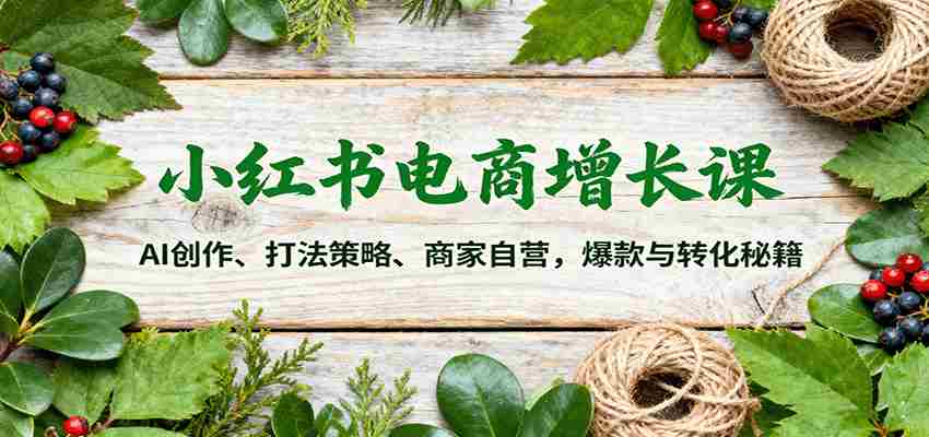小红书电商增长课：AI创作、打法策略、商家自营，爆款与转化秘籍-中创网_分享创业项目_互联网资源
