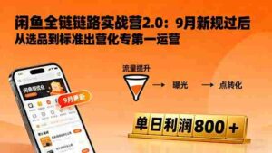 (16265期)闲鱼变现课3.0:掌握链接优化、流量提升、商业变现,单日利润800+-中创网_分享创业项目_互联网资源