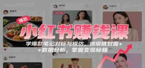 小红书赚钱课:学爆款笔记对标与模仿,做吸睛封面 + 数据分析,掌握变现秘籍-中创网_分享创业项目_互联网资源