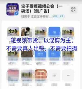宝子哥头部团队短视频带货，以混剪为主，不需要真人出镜，不需要拍摄【更新9月】-中创网_分享创业项目_互联网资源