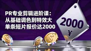 （16381期）PR专业剪辑进阶课：从基础调色到特效大片的进阶技能，单条短片报价达2000-中创网_分享创业项目_互联网资源