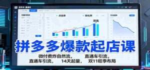 拼多多爆款起店课：微付费炸自然流，直通车引流，14天起量，双11旺季布局-中创网_分享创业项目_互联网资源