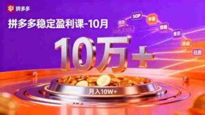 （16413期）拼多多稳定盈利课-10月，强付费SOP+微付费高投产+活动矩阵，单店月入10万+-中创网_分享创业项目_互联网资源