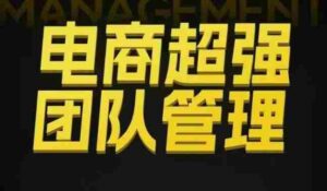 电商超强团队管理，组织绩效，到用人执行，分权合伙-中创网_分享创业项目_互联网资源