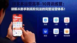 （16448期）拼多多运营高手-10月训练营：讲解从新手到高阶玩法的完整运营体系！-中创网_分享创业项目_互联网资源