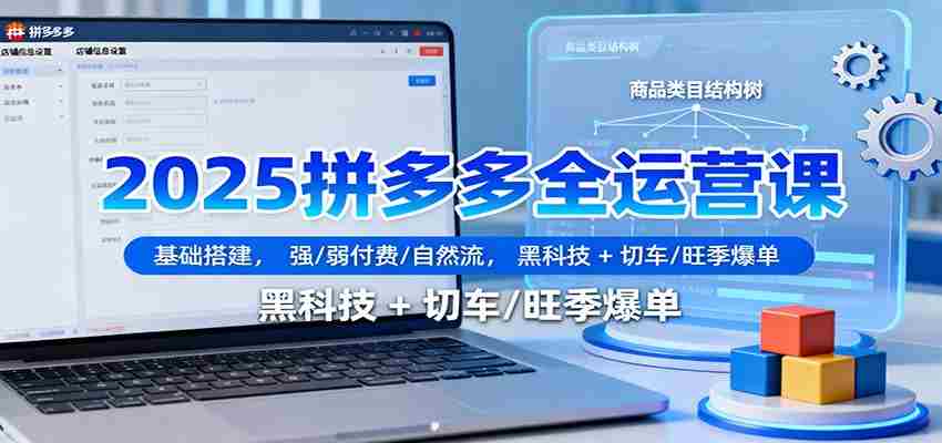 2025拼多多全运营课：基础搭建，强/弱付费/自然流，黑科技 + 切车/旺季爆单-中创网_分享创业项目_互联网资源