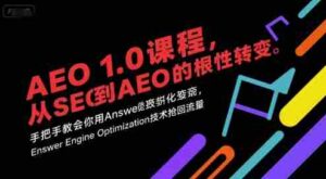 AEO 1.0 课程，从SEO到AE0的基命性转变，手把手教会你用AnswerEngineOptimization技术抢回流量（更新）-中创网_分享创业项目_互联网资源