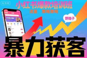 小红书爆款培训班，小红书获客野路子流量打法，暴力持续获客-中创网_分享创业项目_互联网资源