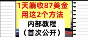 1天躺收87美刀，用这2个方法，长期稳定，超简单，内部教程-中创网_分享创业项目_互联网资源