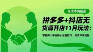 （16546期）拼多多+抖店无货源开店11月玩法：掌握两大平台核心运营技巧，低成本高回报-中创网_分享创业项目_互联网资源