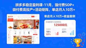 （16557期）拼多多稳定盈利课-11月，强付费SOP+微付费高投产+活动矩阵，单店月入10w+-中创网_分享创业项目_互联网资源