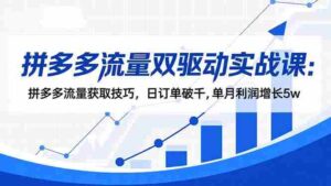 （16563期）拼多多流量双驱动实战课：拼多多流量获取技巧，日订单破千,单月利润增长5w-中创网_分享创业项目_互联网资源
