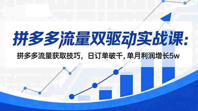 （16563期）拼多多流量双驱动实战课：拼多多流量获取技巧，日订单破千,单月利润增长5w-中创网_分享创业项目_互联网资源