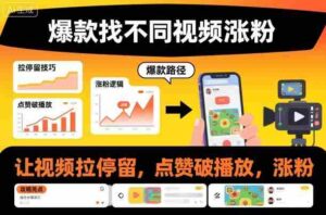 爆款找不同视频涨粉，让视频拉停留，实现点赞，破播放，涨粉-中创网_分享创业项目_互联网资源