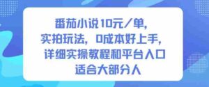 番茄小说10米每单，实拍玩法，0成本好上手，详细实操教程和平台入口适合大部分人-中创网_分享创业项目_互联网资源