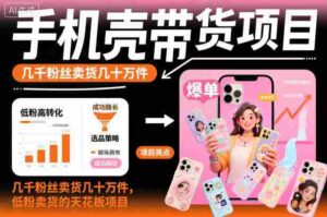 手机壳带货项目，几千粉丝卖货几十万件，短视频低粉卖货的天花板项目-中创网_分享创业项目_互联网资源
