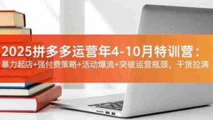 （16642期）2025拼多多运营年4-10月特训营：暴力起店+强付费策略+活动爆流+突破运营瓶颈，干货拉满-中创网_分享创业项目_互联网资源