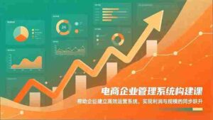 （16643期）电商企业管理系统构建课：帮助企业建立高效运营系统，实现利润与规模的同步跃升-中创网_分享创业项目_互联网资源