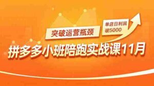 （16654期）拼多多小班陪跑实战课11月，强付费矩阵、原价活动、暗券引流，突破运营瓶颈，单店日利润破5000-中创网_分享创业项目_互联网资源