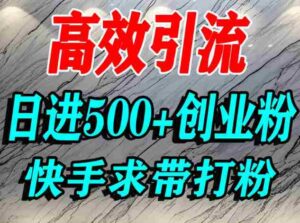 怎么打创业粉?快手求带视角精准引流创业粉,宝妈、学生群体日进500+精准流量-中创网_分享创业项目_互联网资源