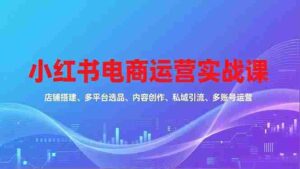 （16695期）小红书电商运营实战课，店铺搭建、多平台选品、内容创作、私域引流、多账号运营等玩法-中创网_分享创业项目_互联网资源