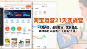 （16701期）淘宝运营21天实战营，45期内容、最新算法、案例复盘，紧跟平台年入百万（更新11月）-中创网_分享创业项目_互联网资源