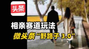 微头条“野路子3.0”相亲赛道玩法，搬砖式操作单号稳定3张-中创网_分享创业项目_互联网资源