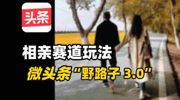 微头条“野路子3.0”相亲赛道玩法，搬砖式操作单号稳定3张-中创网_分享创业项目_互联网资源